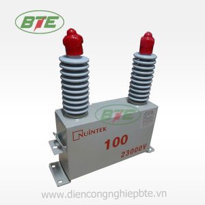 Tụ bù trung thế 1 pha 23kV 100kvar Nuintek